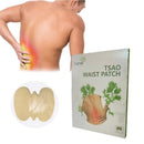 Parche para Alivio Rápido del Dolor Lumbar - OR84