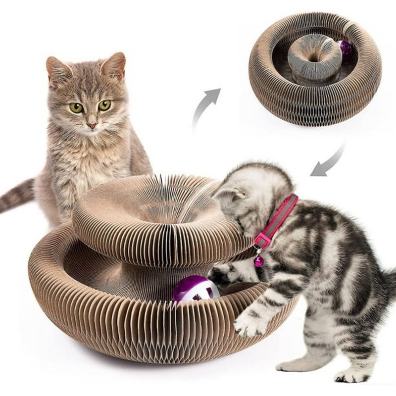 BRILIN®️ - Rascador para Gatos 3 en 1